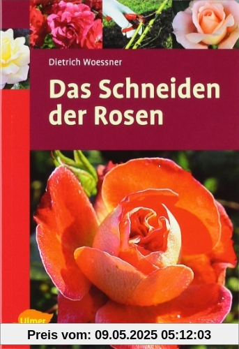 Das Schneiden der Rosen