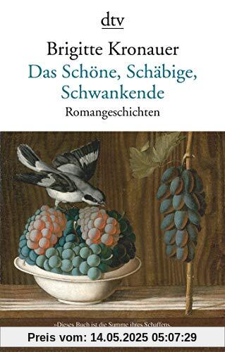 Das Schöne, Schäbige, Schwankende: Romangeschichten