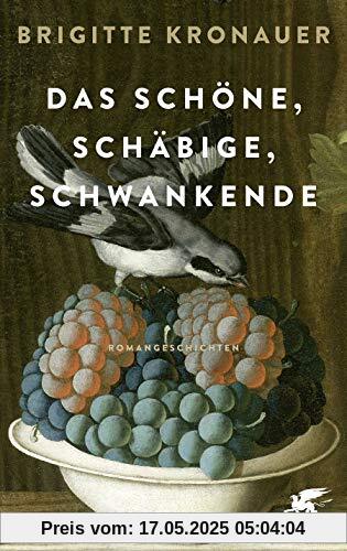 Das Schöne, Schäbige, Schwankende: Romangeschichten