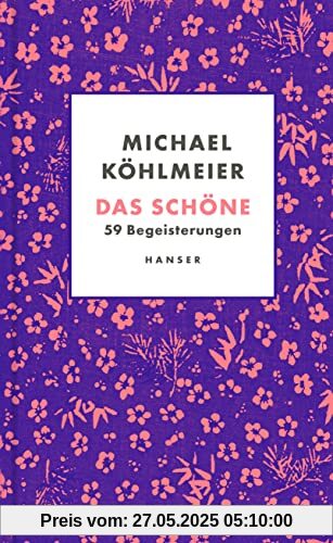 Das Schöne: 59 Begeisterungen