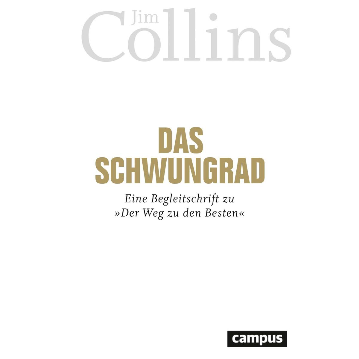 Das Schwungrad von Campus Verlag GmbH