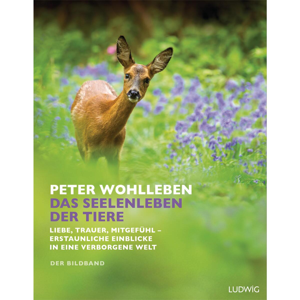 Das Seelenleben der Tiere Das Seelenleben der Tiere von Ludwig Verlag
