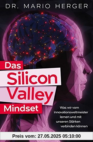 Das Silicon-Valley-Mindset: Was wir vom Innovationsweltmeister lernen und mit unseren Stärken verbinden können