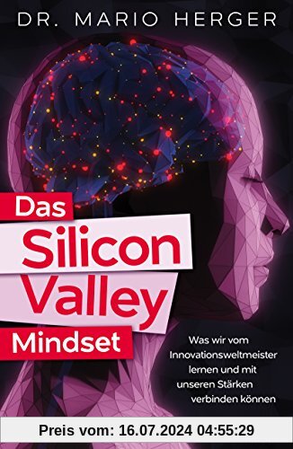 Das Silicon-Valley-Mindset: Was wir vom Innovationsweltmeister lernen und mit unseren Stärken verbinden können