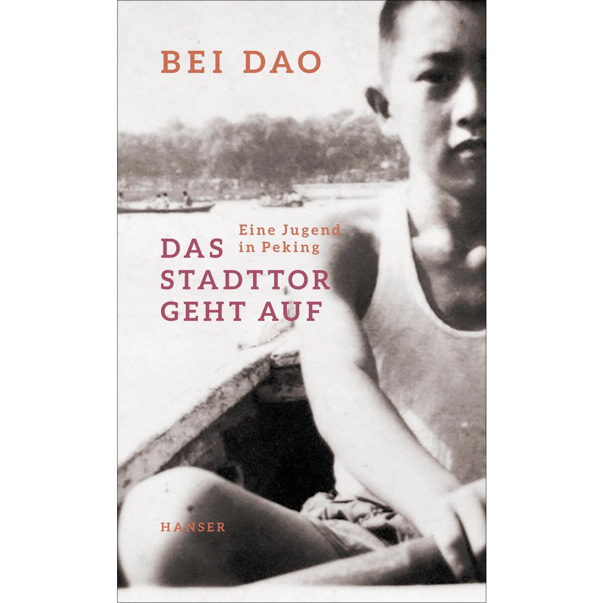 Das Stadttor geht auf von Carl Hanser Verlag
