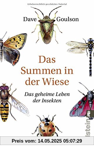 Das Summen in der Wiese: Das geheime Leben der Insekten