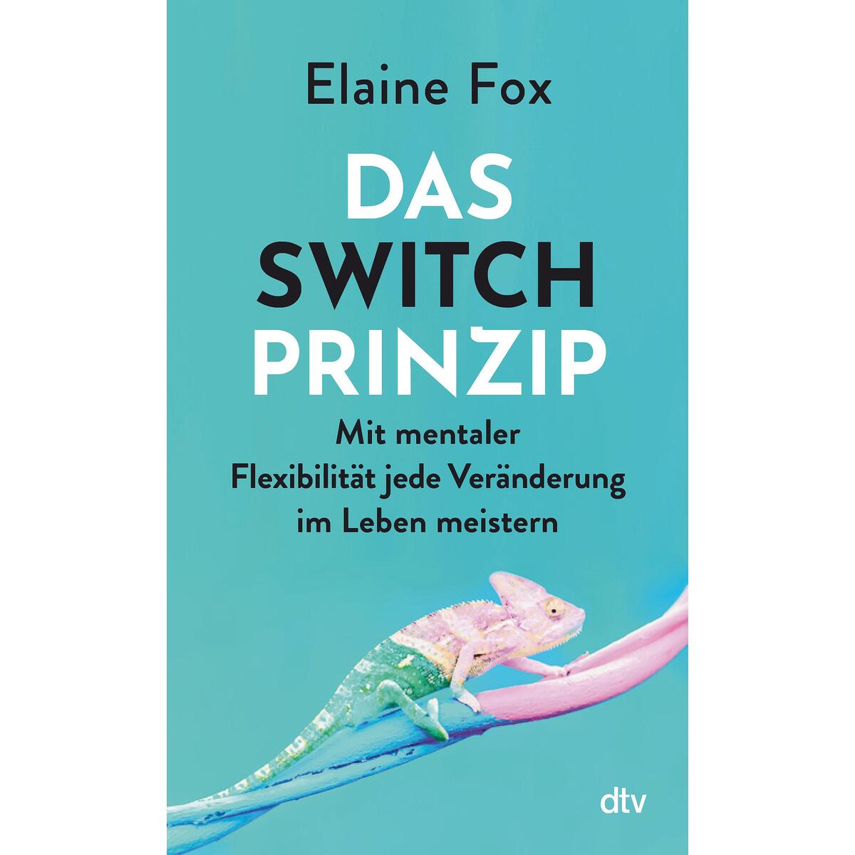Das Switch-Prinzip von dtv Verlagsgesellschaft