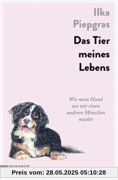 Das Tier meines Lebens: Wie mein Hund aus mir einen anderen Menschen machte