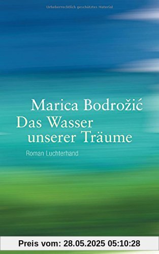 Das Wasser unserer Träume: Roman