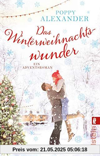 Das Winterweihnachtswunder: Ein Adventsroman