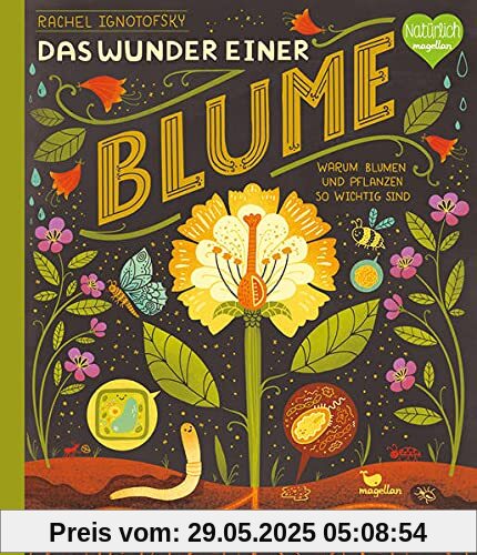 Das Wunder einer Blume - Warum Blumen und Pflanzen so wichtig sind Das Wunder einer Blume - Warum Blumen und Pflanzen so wichtig sind