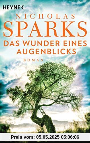 Das Wunder eines Augenblicks: Roman