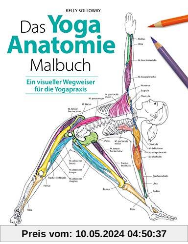 Das Yoga-Anatomie-Malbuch: Ein visueller Wegweiser für die Yogapraxis. Mit über 30 Karten zum Heraustrennen