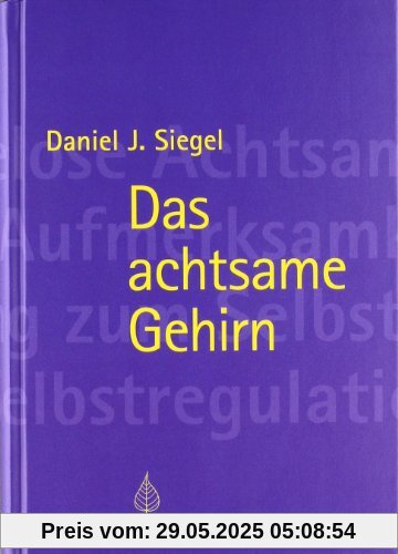 Das achtsame Gehirn