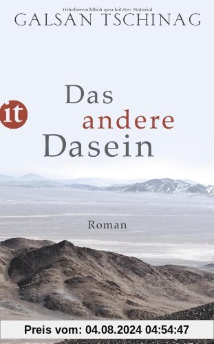 Das andere Dasein: Roman (insel taschenbuch)