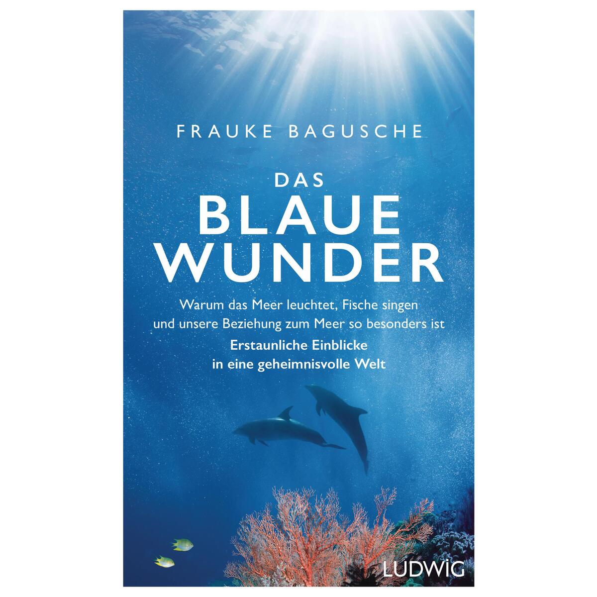 Das blaue Wunder Das blaue Wunder von Ludwig Buchverlag