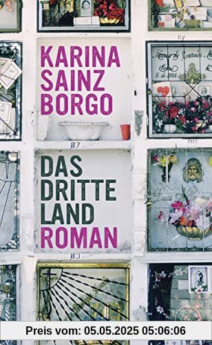 Das dritte Land: Roman