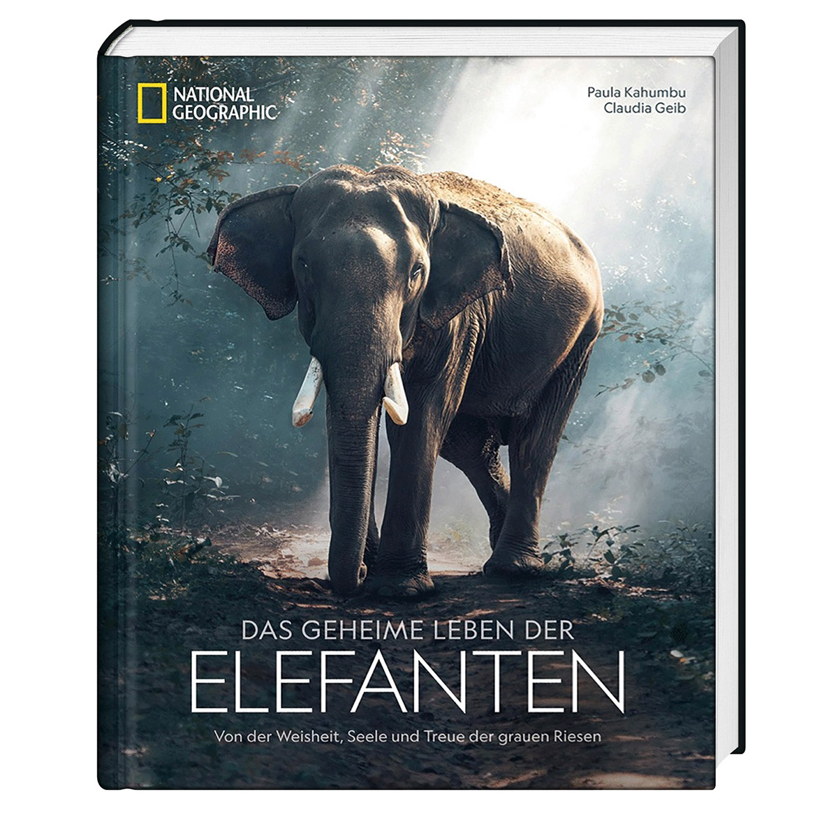 Das geheime Leben der Elefanten von NG Buchverlag GmbH