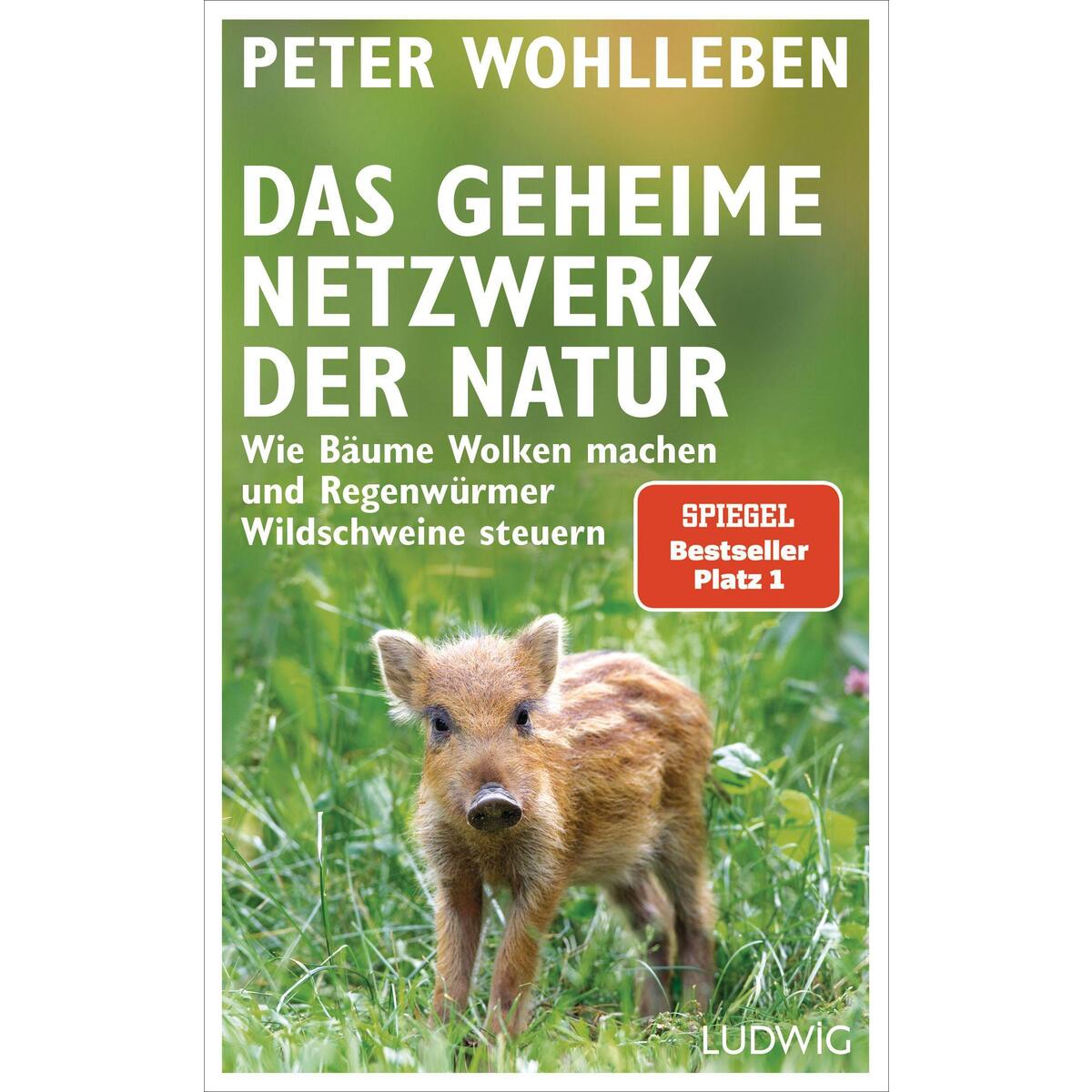 Das geheime Netzwerk der Natur Das geheime Netzwerk der Natur von Ludwig