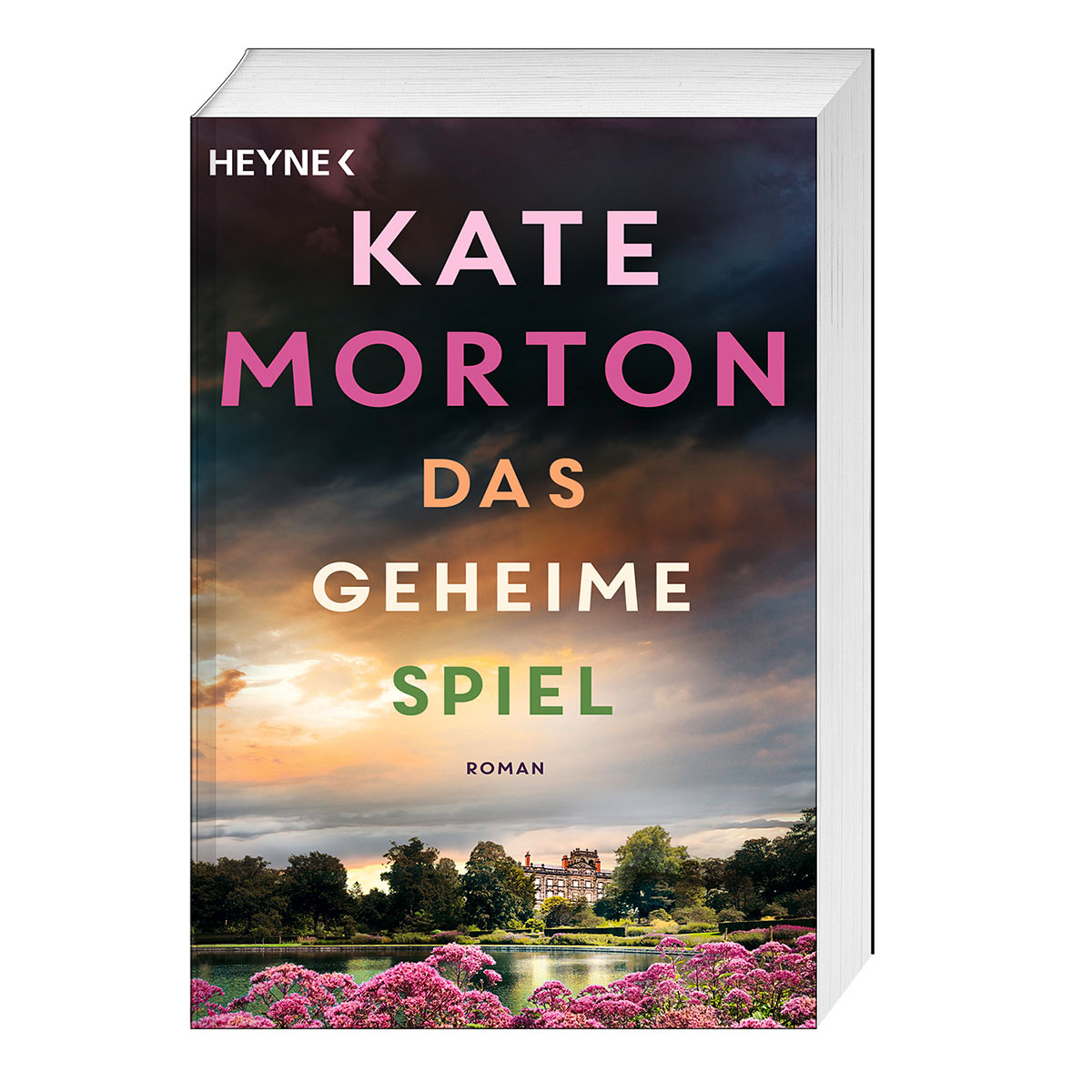 Das geheime Spiel von Heyne Taschenbuch