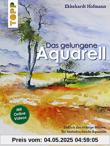 Das gelungene Aquarell: Mit vielen Antworten auf die wichtigsten Fragen