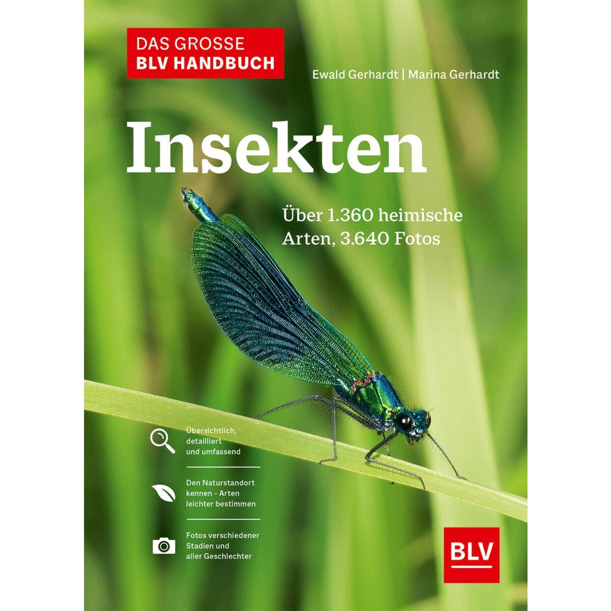 Das große BLV Handbuch Insekten Das große BLV Handbuch Insekten von Blv