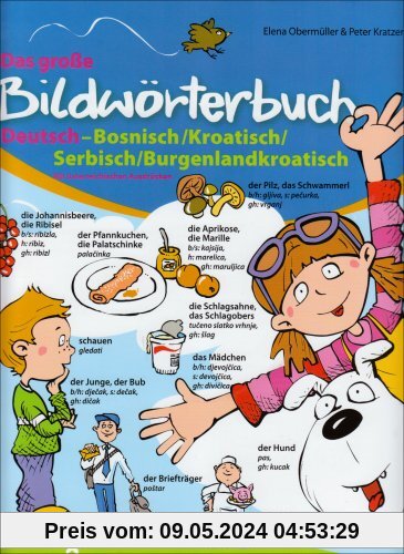 Das große Bildwörterbuch Deutsch-Bosnisch/Kroatisch/Serbisch/Burgenlandkroatisch