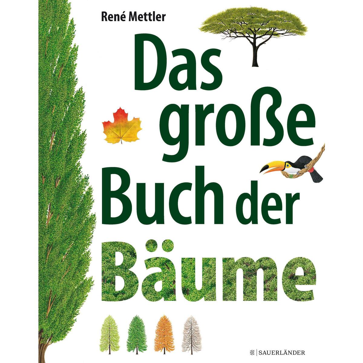 Das große Buch der Bäume von FISCHER Sauerländer