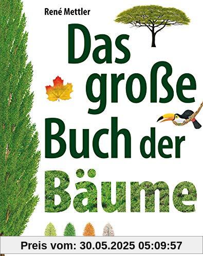 Das große Buch der Bäume