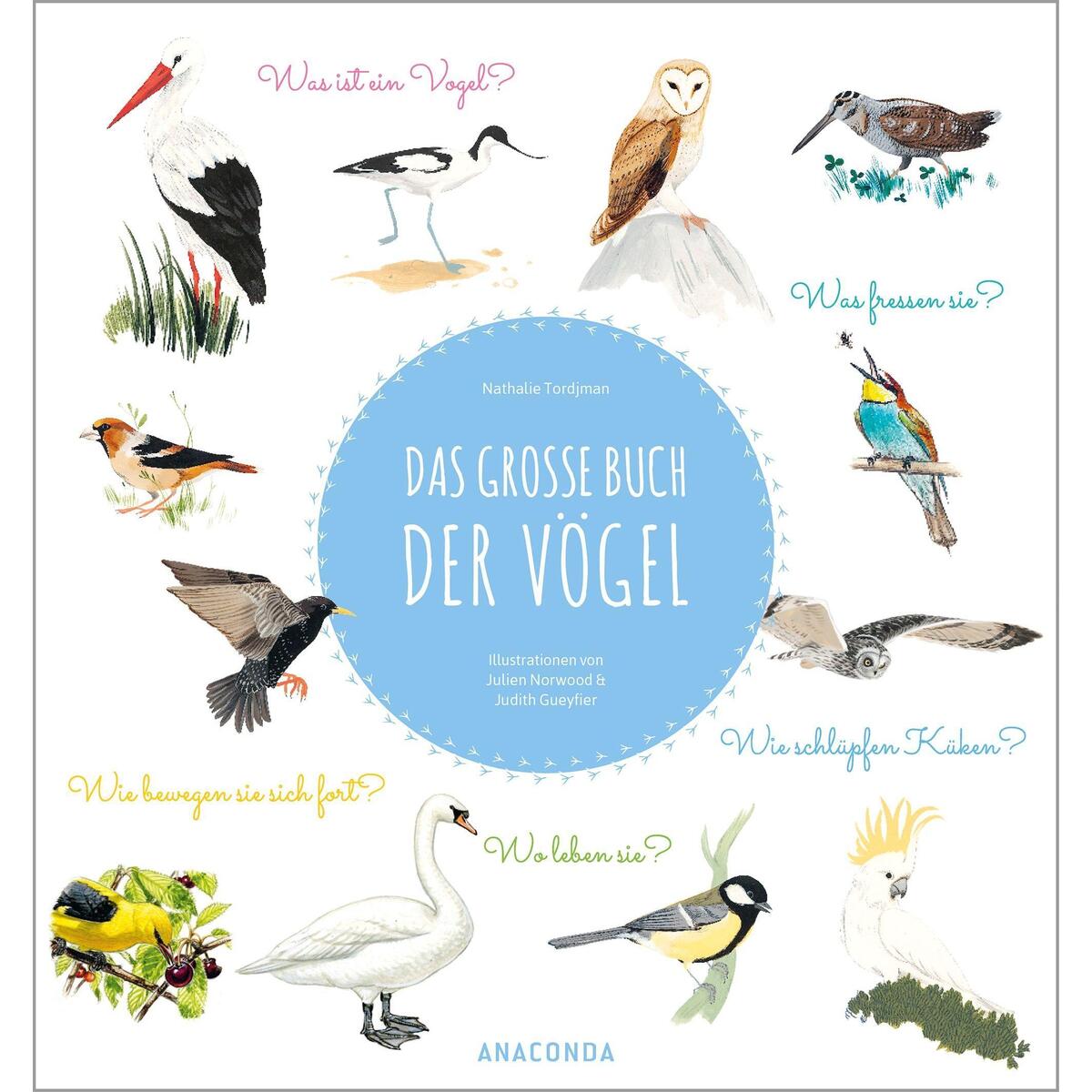 Das große Buch der Vögel Das große Buch der Vögel von Anaconda Verlag