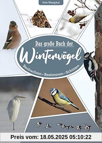 Das große Buch der Wintervögel: Beobachten – Bestimmen – Schützen: Beobachten - Bestimmen - Schtzen