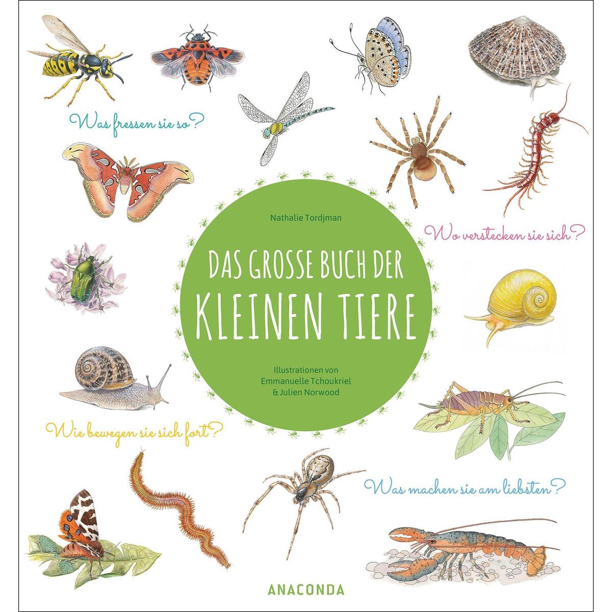 Das große Buch der kleinen Tiere Das große Buch der kleinen Tiere von Anaconda Verlag