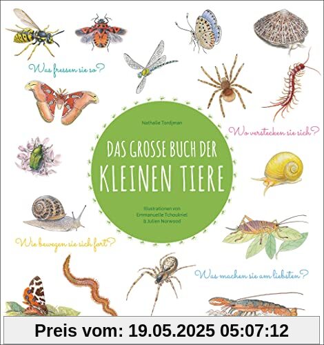 Das große Buch der kleinen Tiere: Was fressen sie so? Wie bewegen sie sich fort? Wo verstecken sie sich? Was machen sie am liebsten?