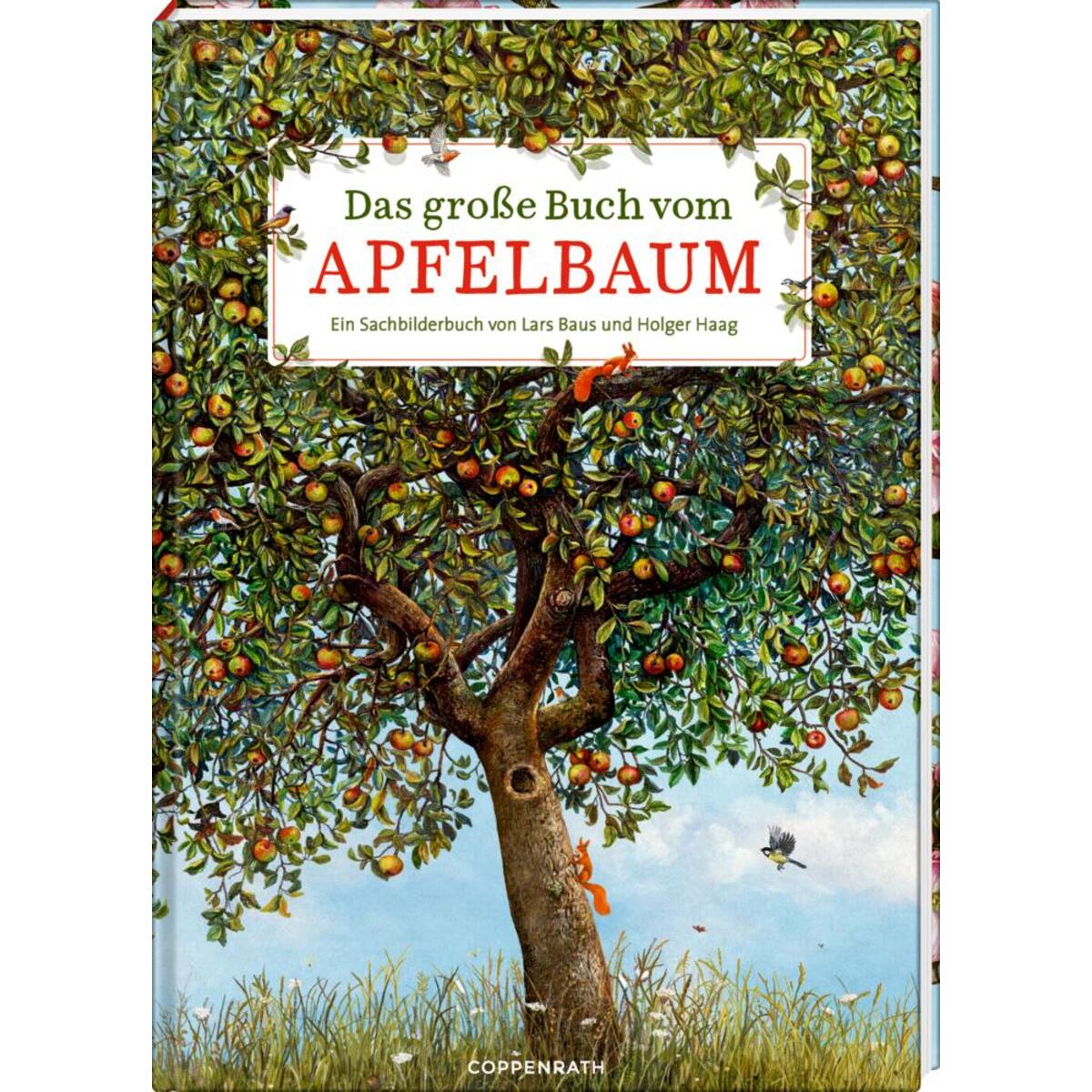 Das große Buch vom Apfelbaum von Coppenrath