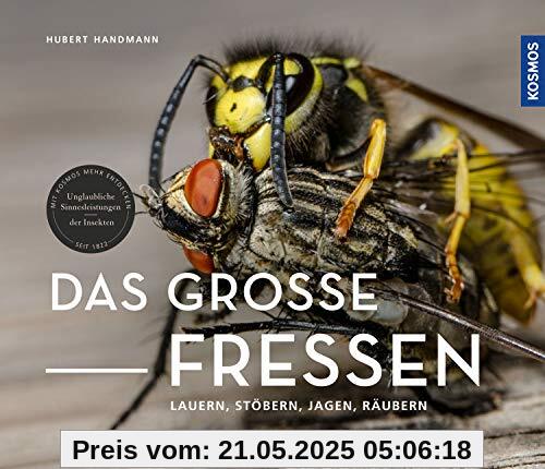 Das große Fressen: Lauern, stöbern, jagen, räubern