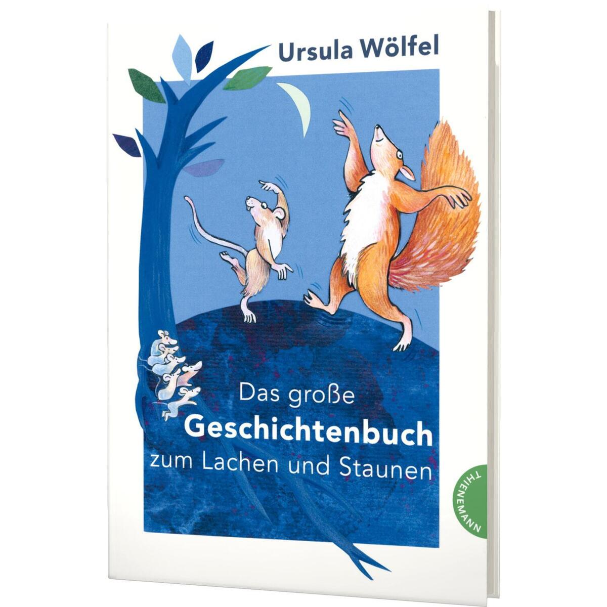 Das große Geschichtenbuch zum Lachen und Staunen Das große Geschichtenbuch zum Lachen und Staunen von Thienemann