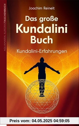 Das große Kundalini-Buch: Kundalini-Erfahrungen