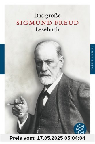 Das große Lesebuch: Schriften aus vier Jahrzehnten