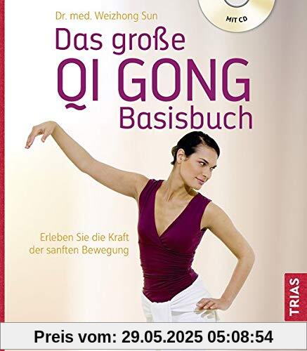 Das große Qi Gong Basisbuch: Erleben Sie die Kraft der sanften Bewegung