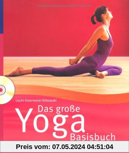Das große Yoga Basisbuch: Die 40 besten Asanas zur Energiegewinnung