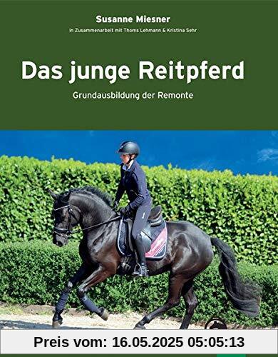 Das junge Reitpferd: Grundausbildung der Remonte