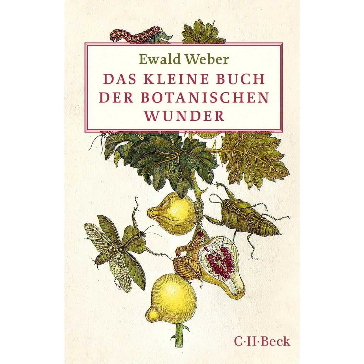 Das kleine Buch der botanischen Wunder von C.H. Beck