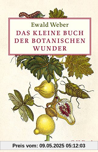 Das kleine Buch der botanischen Wunder
