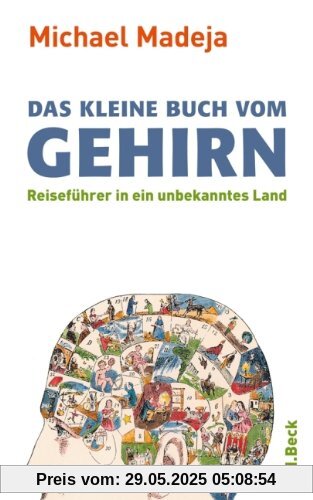 Das kleine Buch vom Gehirn: Reiseführer in ein unbekanntes Land