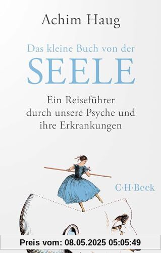 Das kleine Buch von der Seele: Ein Reiseführer durch unsere Psyche und ihre Erkrankungen (Beck Paperback)