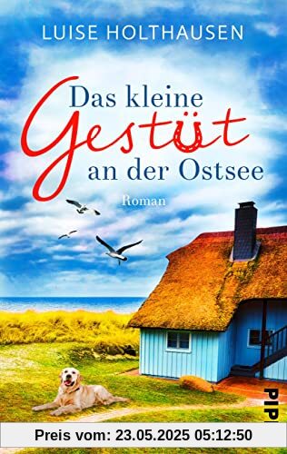 Das kleine Gestüt an der Ostsee: Roman | Bewegende Liebesgeschichte mit romantischem Küstensetting