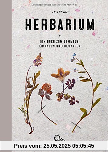 Das kleine Herbarium: Ein Buch zum Sammeln, Erinnern und Bewahren