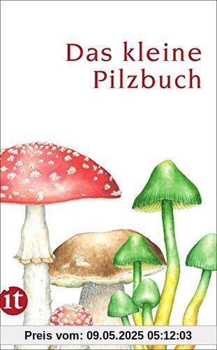Das kleine Pilzbuch (insel taschenbuch)