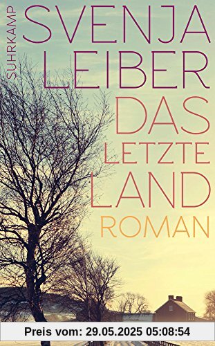 Das letzte Land: Roman (suhrkamp taschenbuch)