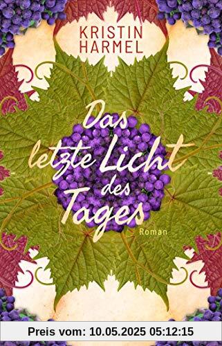 Das letzte Licht des Tages: Roman. Die dramatische Résistance-Geschichte einer französischen Familie bei Ausbruch des 2. Weltkriegs